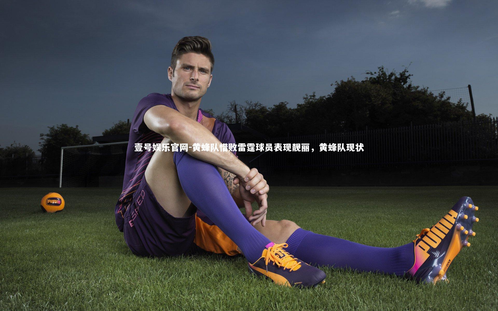 黄蜂队惜败雷霆球员表现靓丽,黄蜂队现状