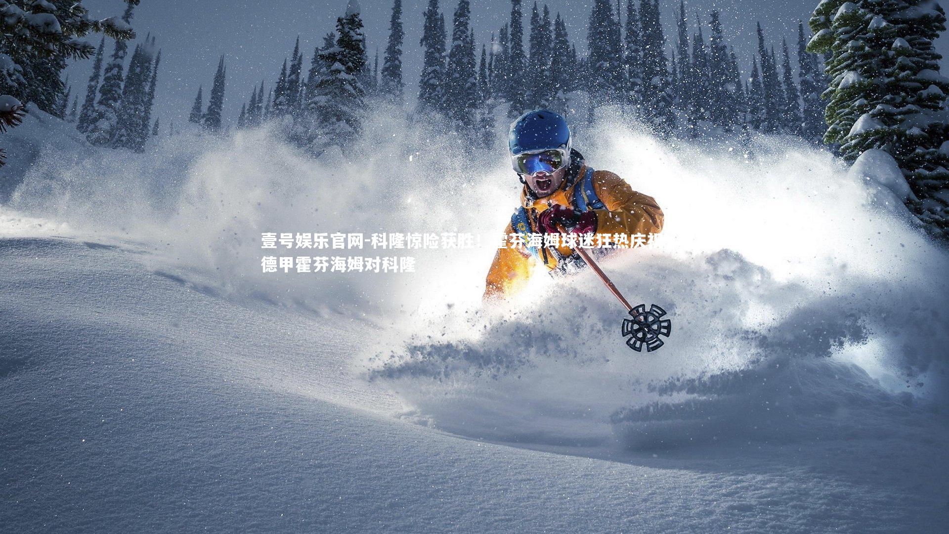 科隆惊险获胜!霍芬海姆球迷狂热庆祝!,德甲霍芬海姆对科隆