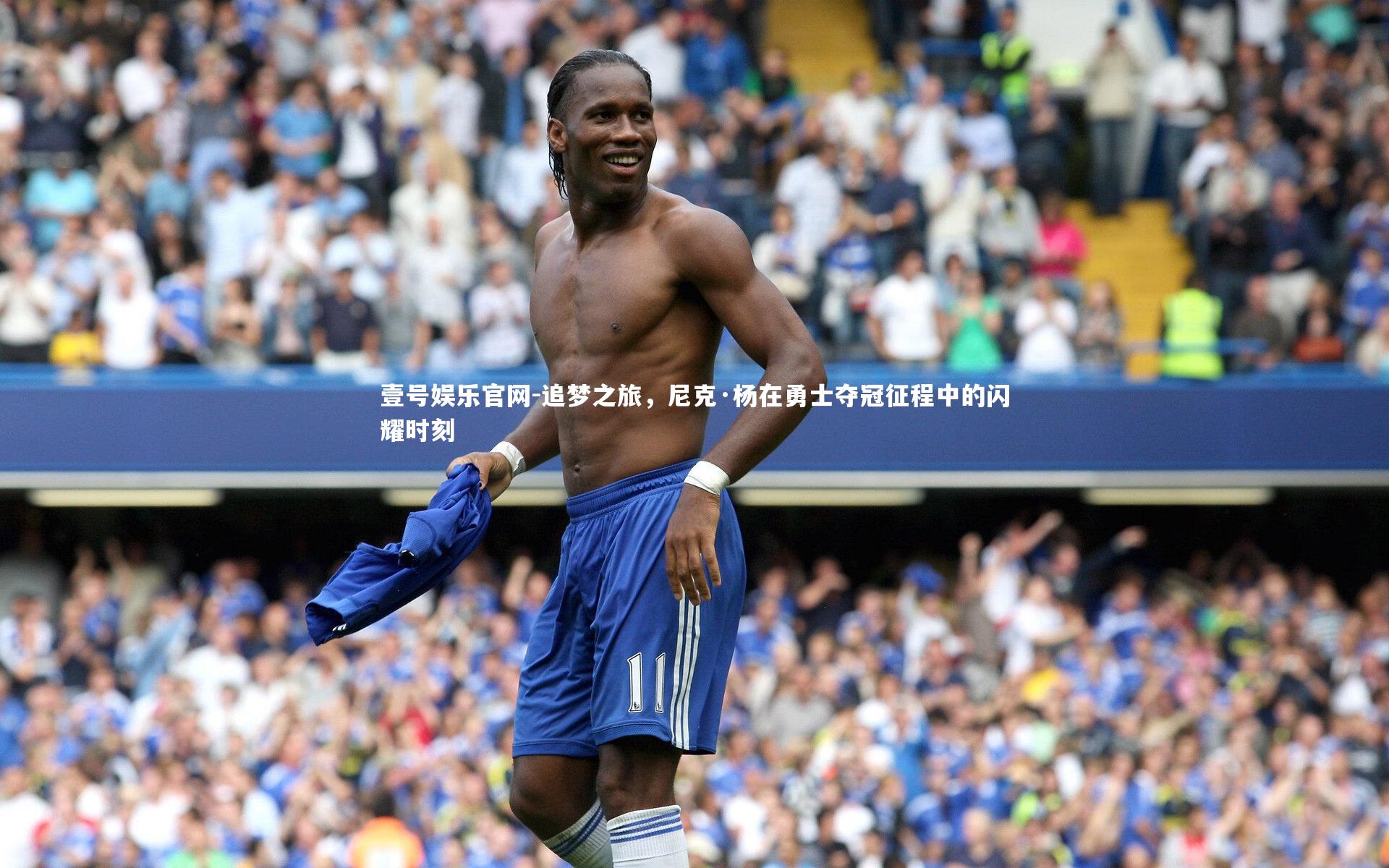 追梦之旅，尼克·杨在勇士夺冠征程中的闪耀时刻